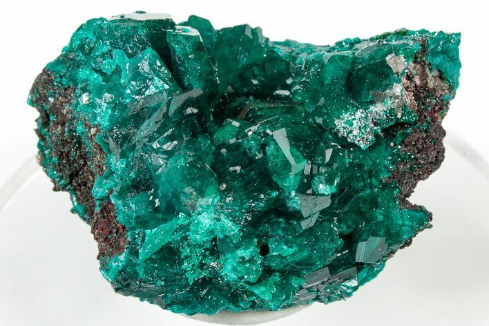 Lustrous Dioptase Crystal Cluster - Congo #303849